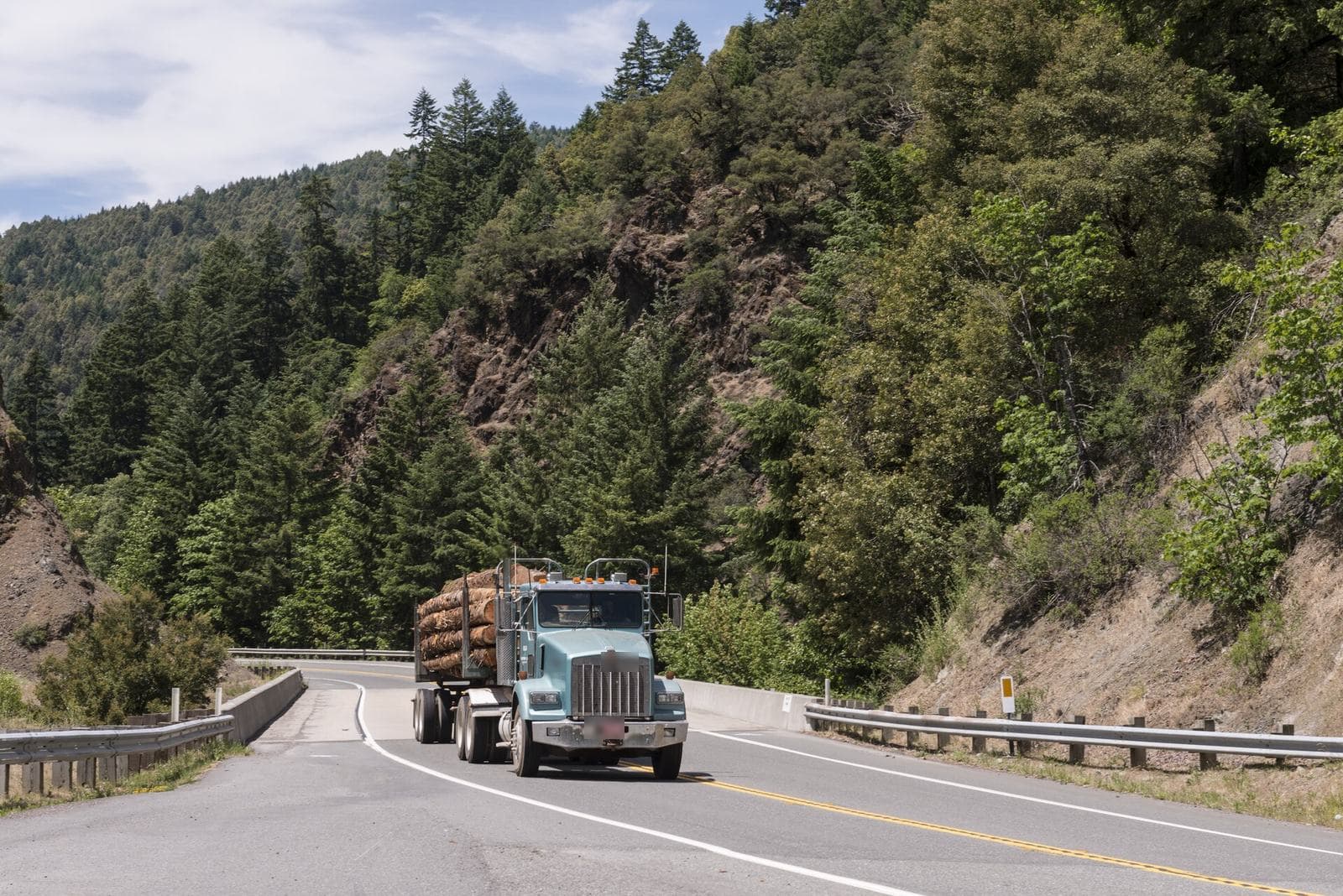Grumier chargé de troncs sur une route de montagne sinueuse en forêt